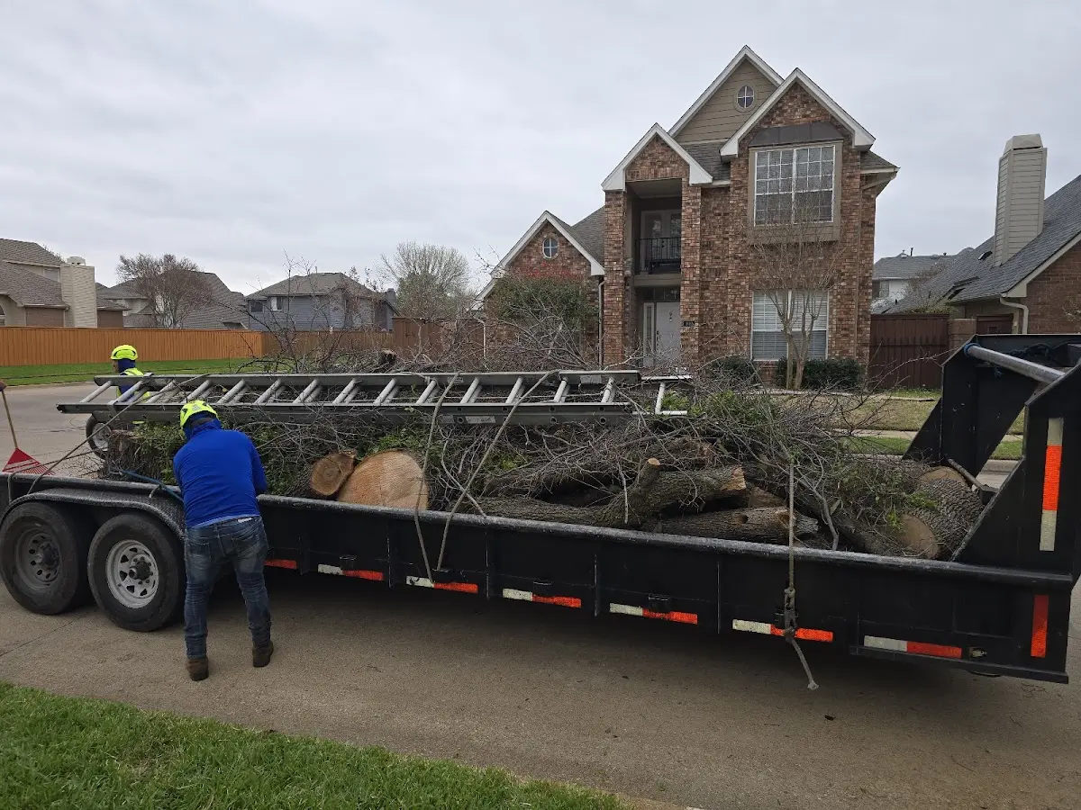 Expert Tree Fertilization with proper safety equipment in Wetumka